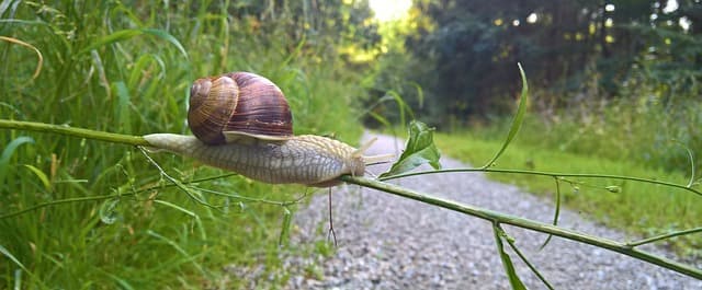 슬로우 리빙과 소비의 전환
