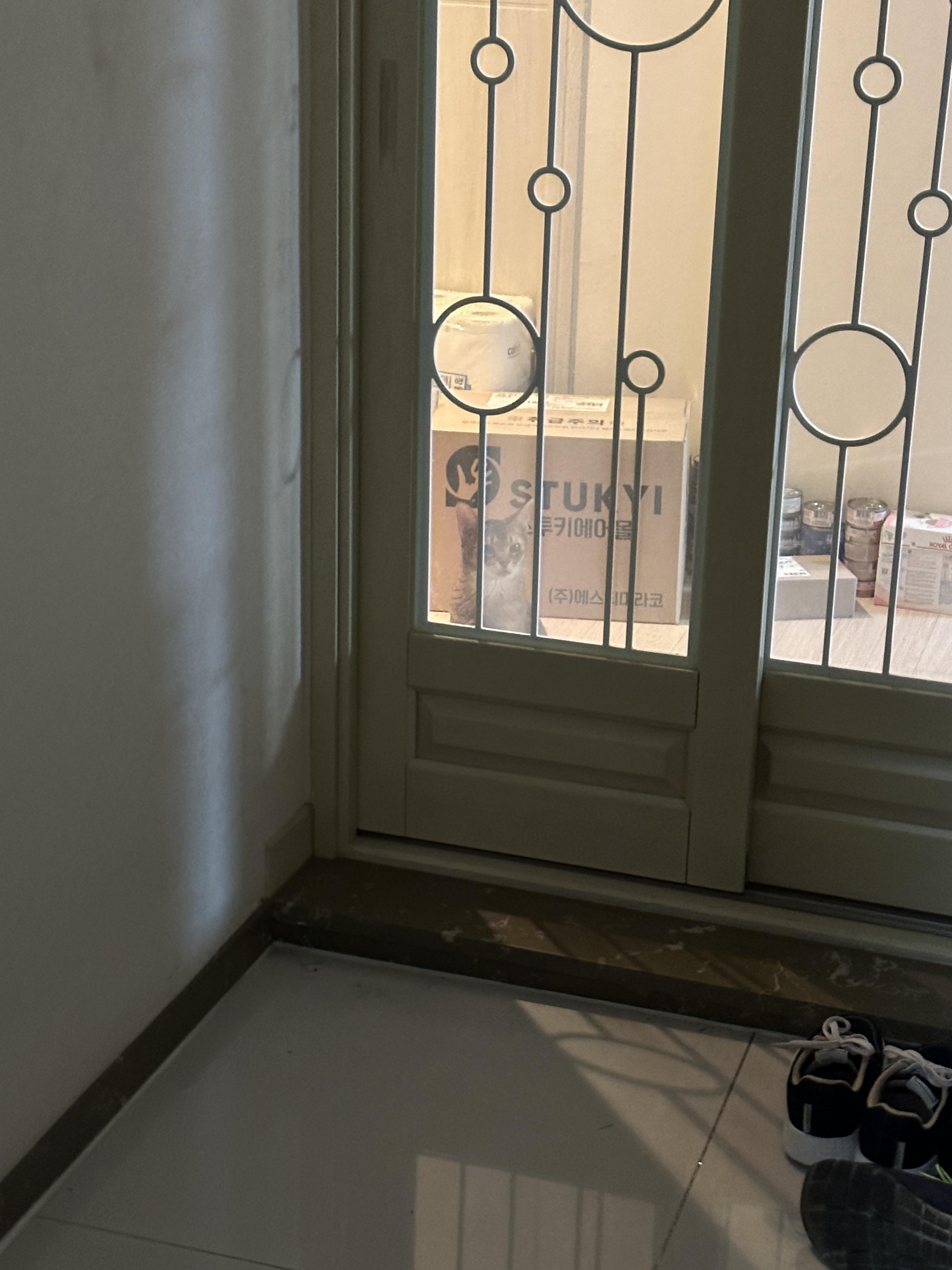 냥냥이들 화장실을 교체했다!(feat.화장실을 교체 해야 하는 이유)