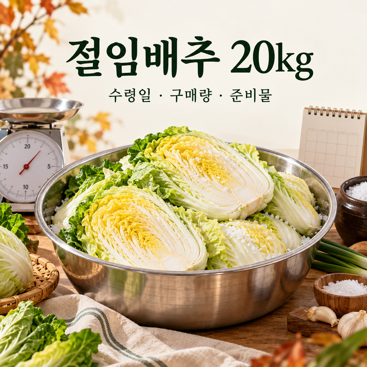 절임배추 20kg 주문을 준비하는 배추와 식품용 대야 수령 일정 일러스트