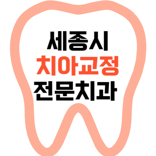 세종시 치아교정 치과 잘하는 곳 전문 치과 추천 가격 비용.png
