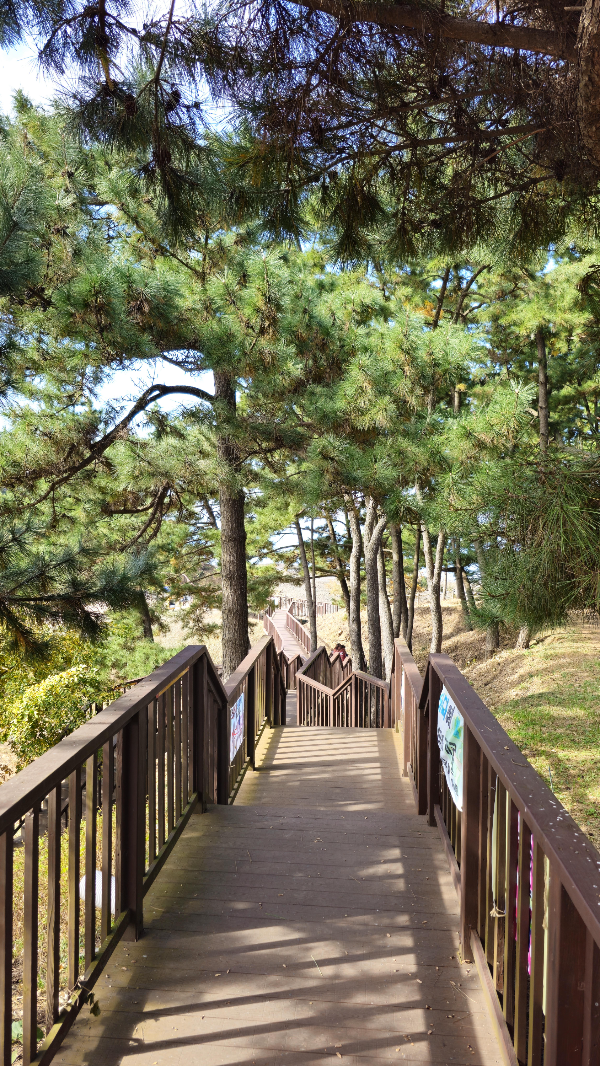 홍성스카이타워 산책길