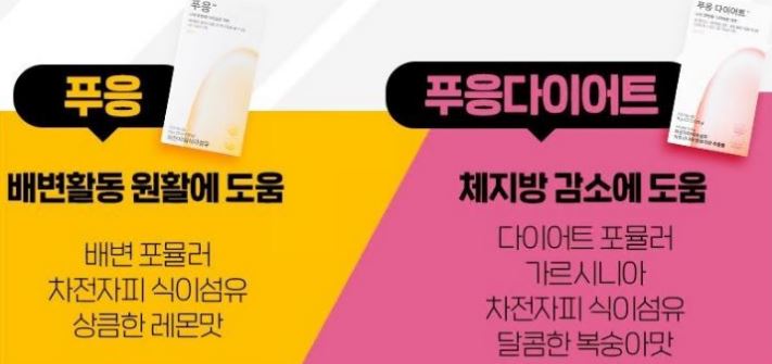 푸응다이어트-후기