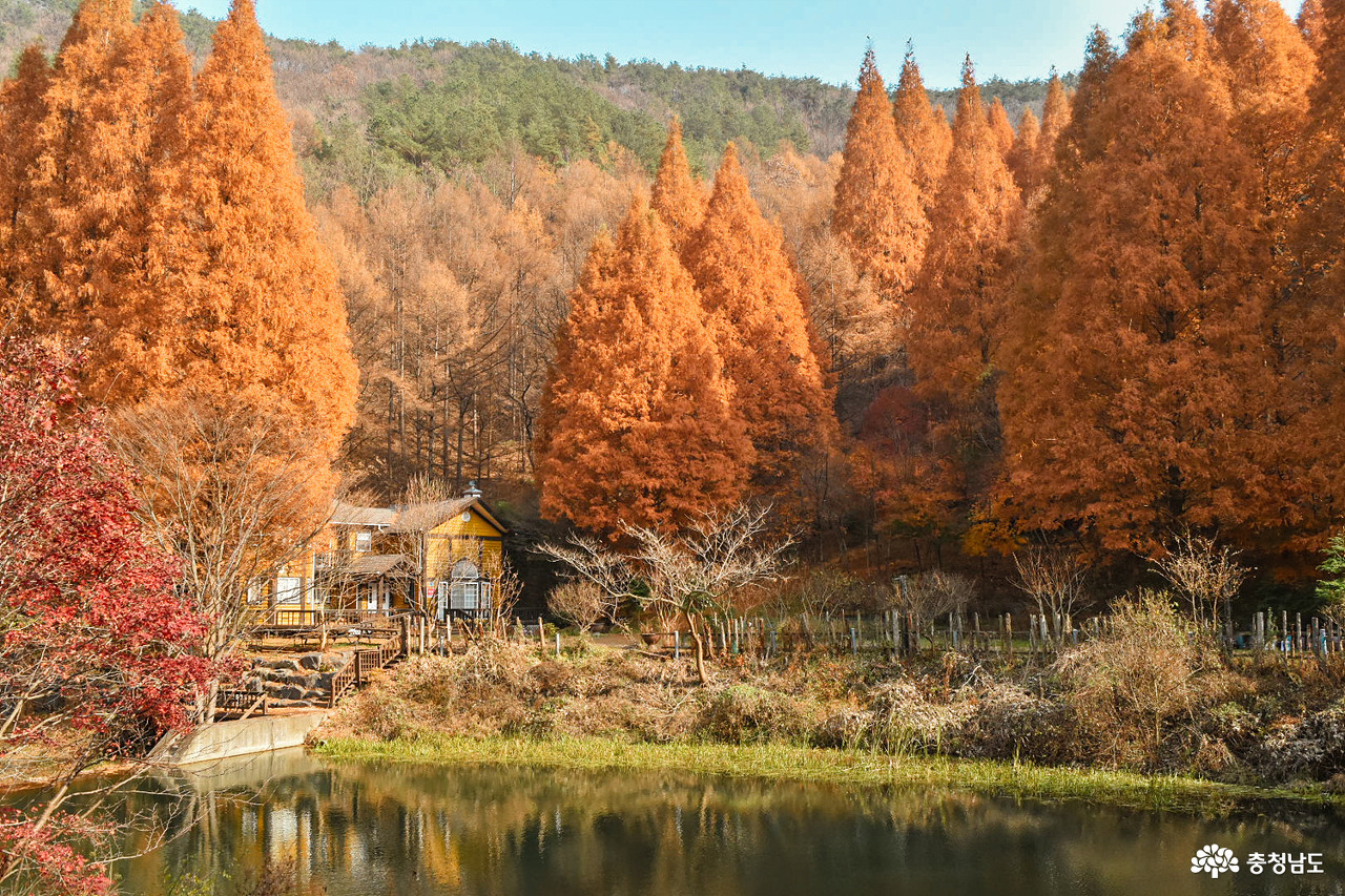 alt="단풍"