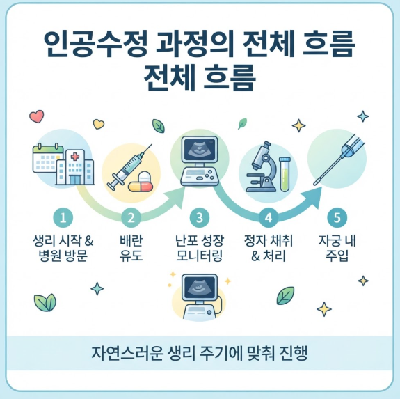 난임 시술 과정