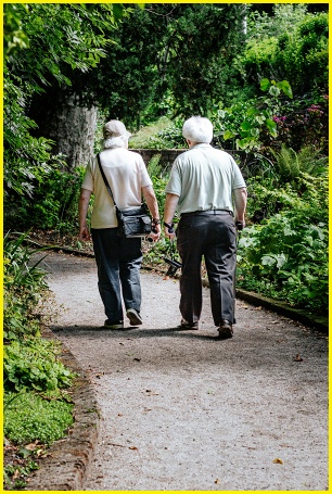 걸어가는 노부부 뒷 모습