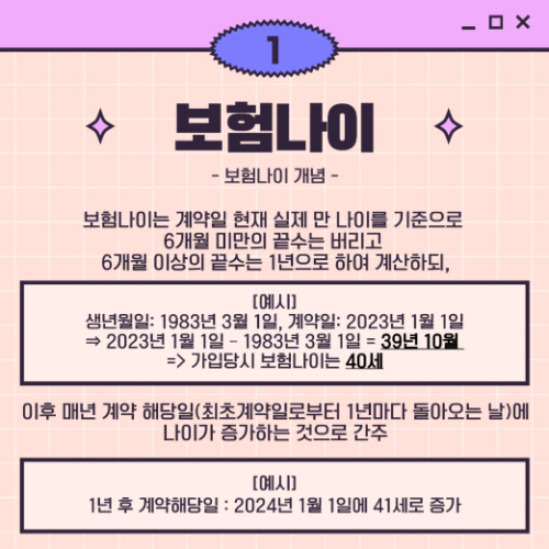 알트태그-보험 나이의 개념