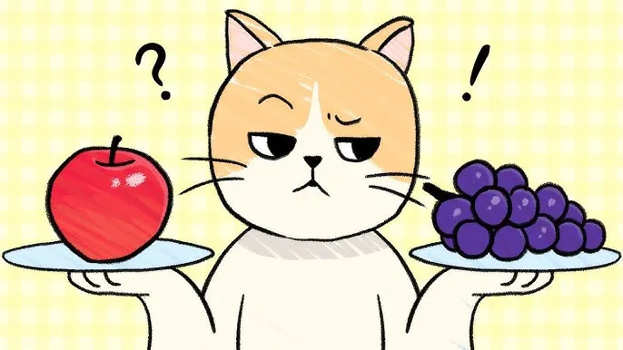 &amp;quot;고양이