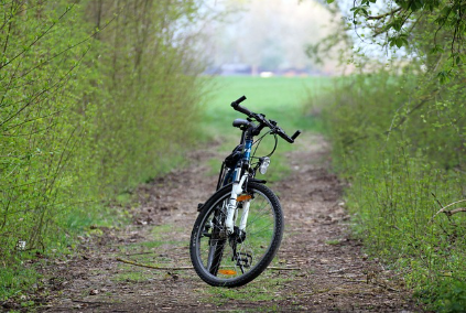 여행 시 환경을 지키는 새로운 트렌드