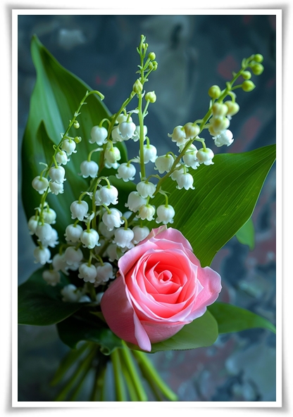 "은방울 꽃" 자연의 아름다움과 신비를 담은 작은 보석!