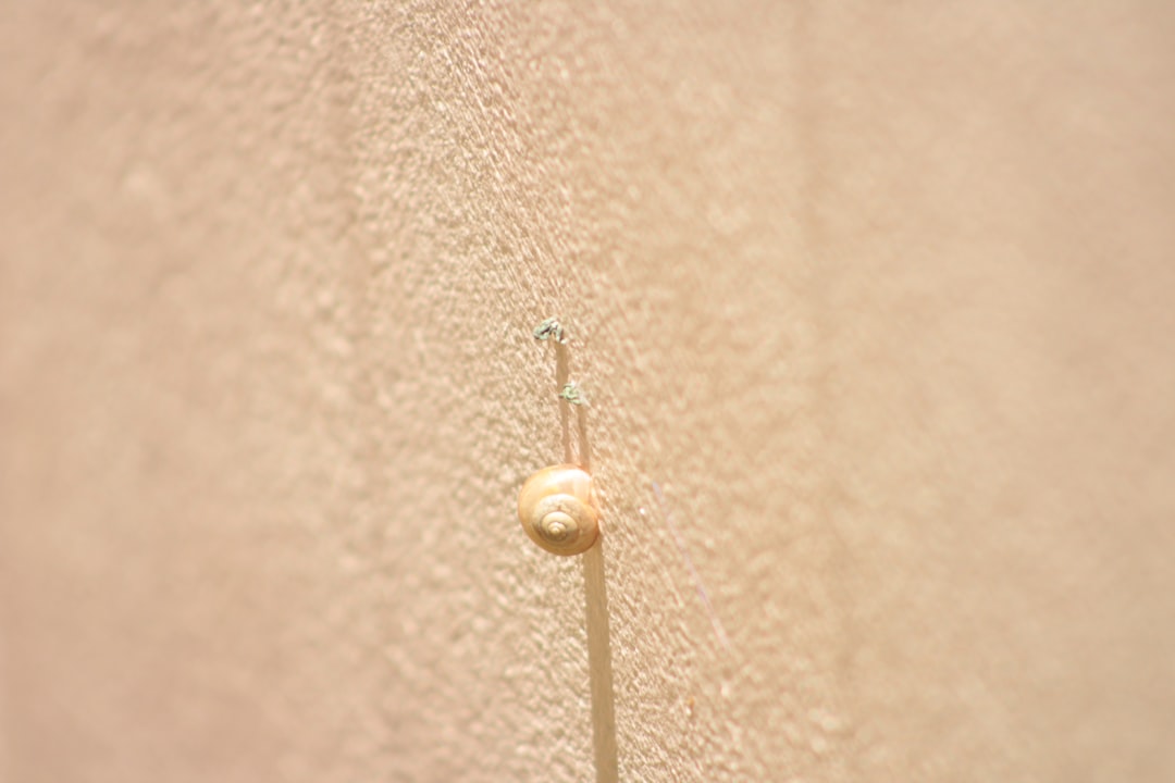 Acupuncture