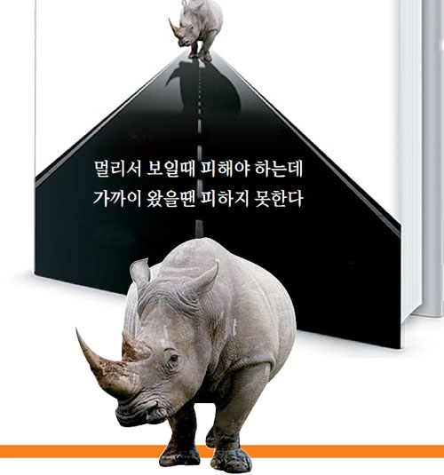 회색 코뿔소란