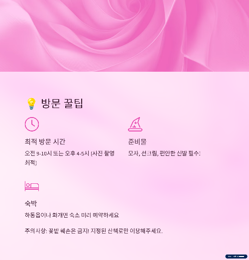 2025년 제11회 하동 북천 꽃양귀비 축제 완벽 가이드