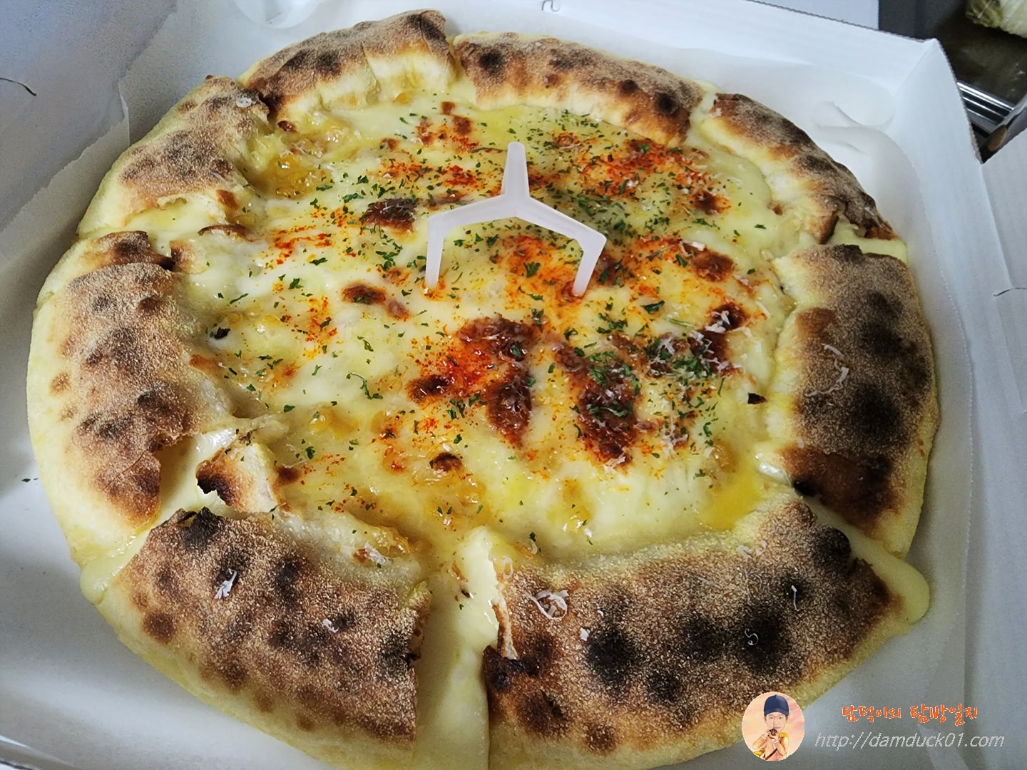 초당옥수수 치즈듬뿍피자