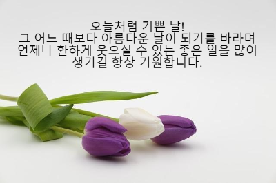 생일축하 메세지 문자 카톡 모음8
