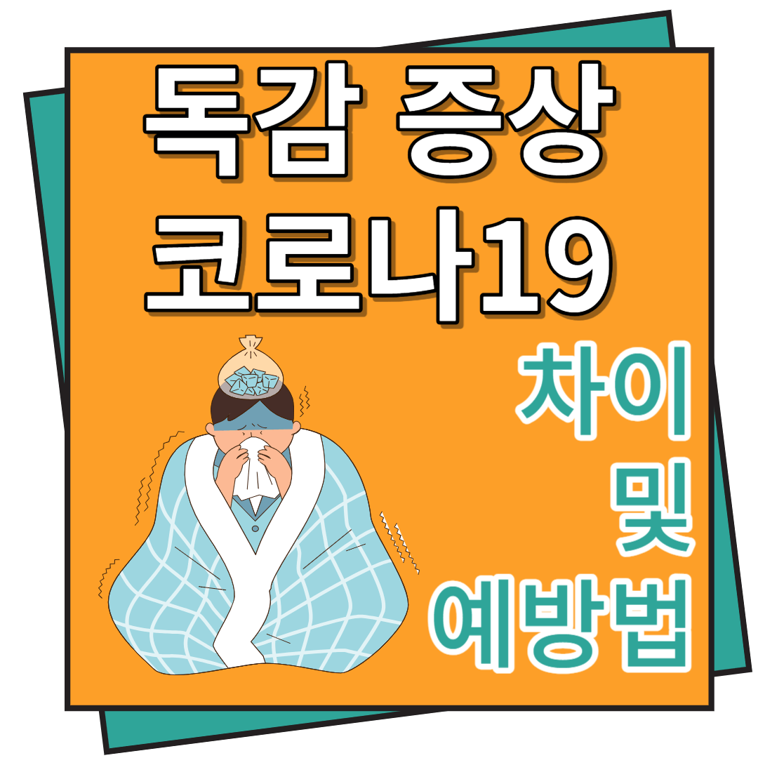 독감 증상 코로나 19 증상 차이 및 예방법