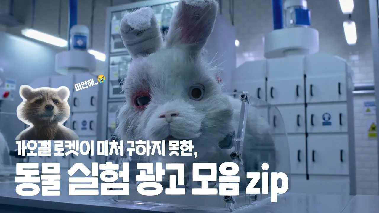동물 실험의 윤리적 문제와 이제는 멈춰야 할 때입니다에 대한 의견_1