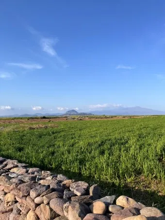 제주 가파도 가는 운진항 배 시간표 요금 예약 예매_18