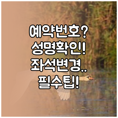 피치항공 좌석 변경 전에 확인할 예약..