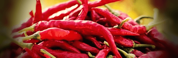 빨간-카옌페퍼-사진