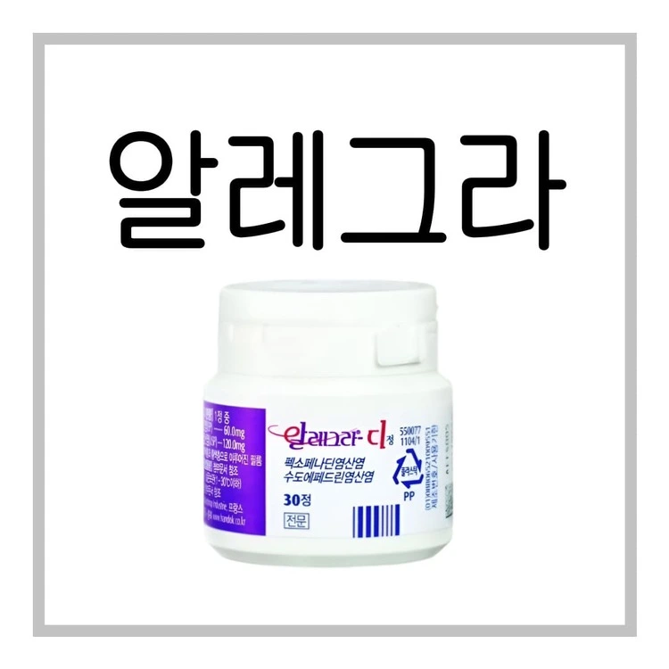 알레그라디정-이미지