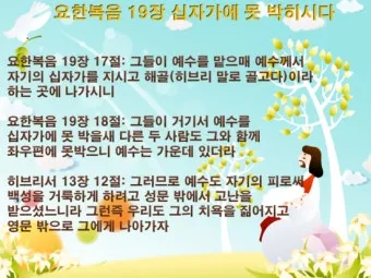요한복음 11장 예수님 생명 부활 묵상_24