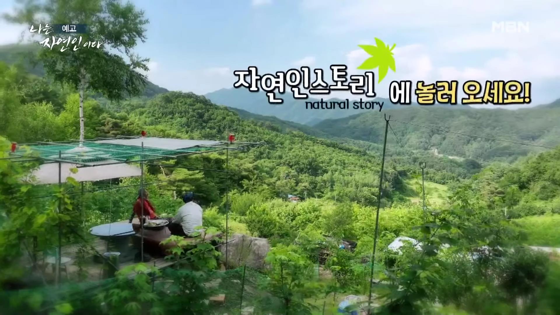 나는 자연인이다 낙상 사고 후유증, 산골 놀이터를 통해 회복, 산딸기 유기농 잼, 천마, 산삼 나눔, 출연료 기부, 키다리 아저씨 이제 착하게 삽니다 자연인 김기복 소개 및 이승윤 출연 560회회 다시보기