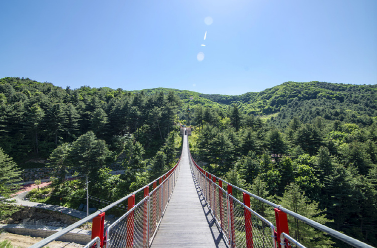 포천 어메이징파크