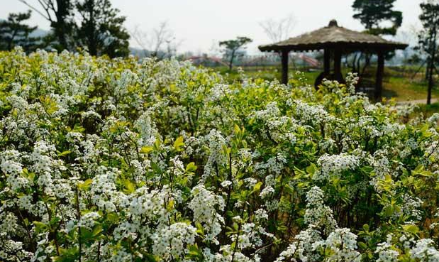 청양 가볼만한곳 베스트10