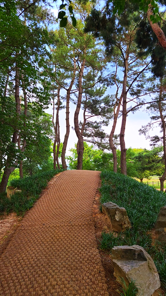 경주가볼만한곳-동궁과월지