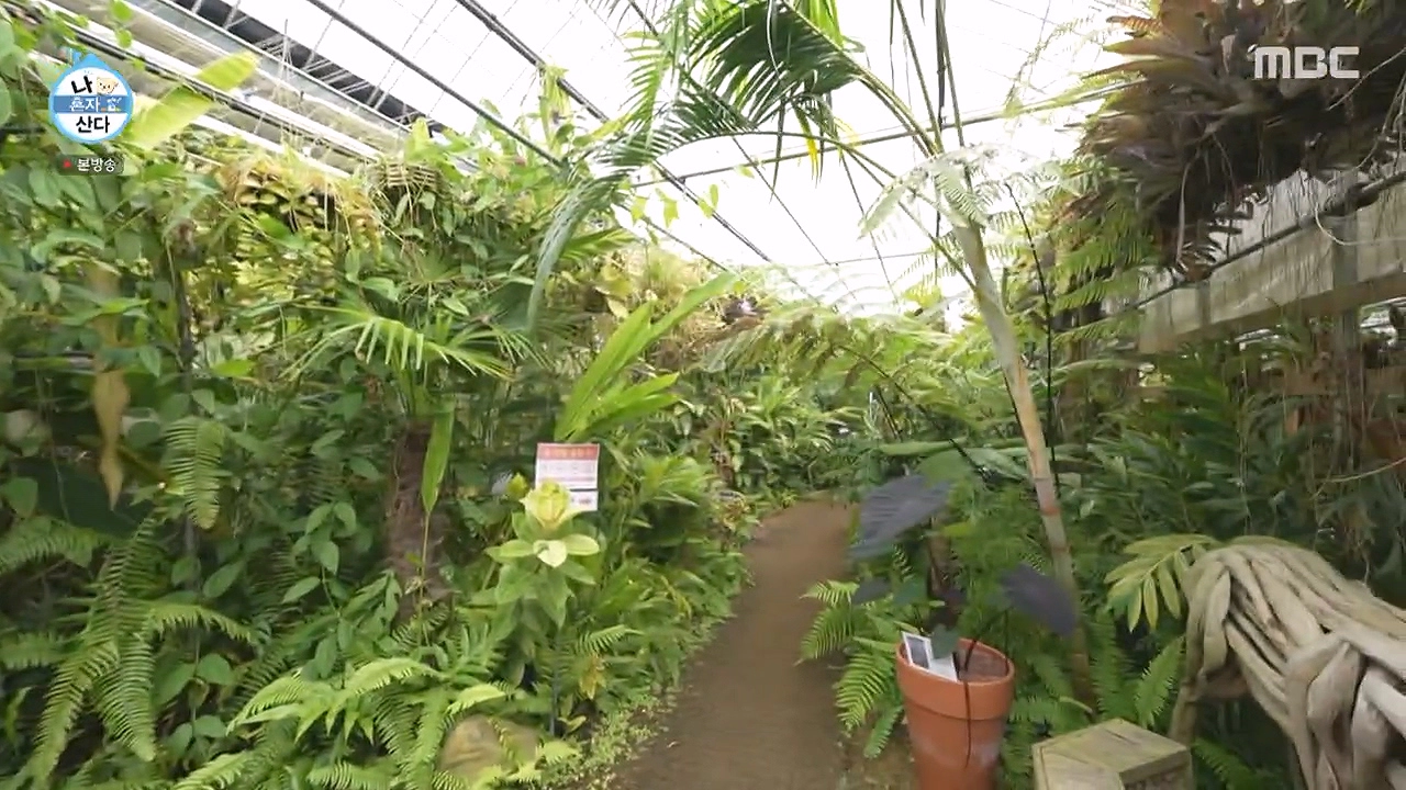 조인폴리아 근처 맛집