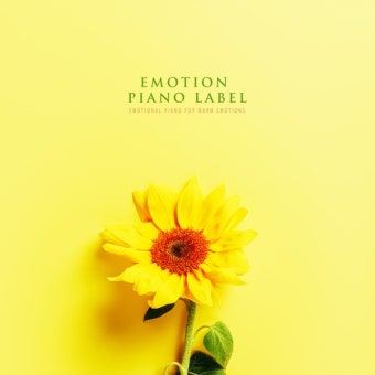 대성셀틱 보일러 as 바로가기