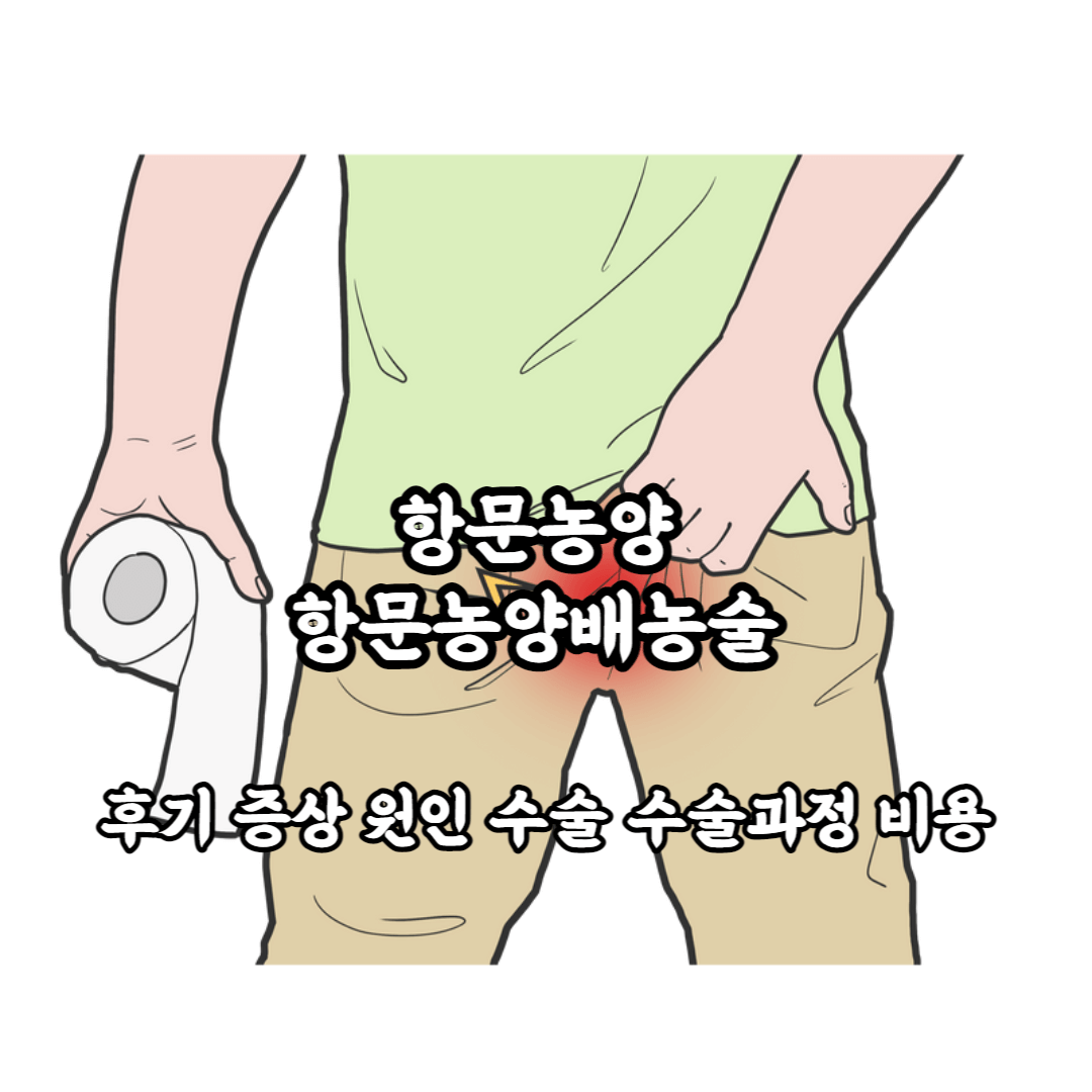 항문농양 항문농양배농술 후기 증상 원인 수술 수술과정 비용