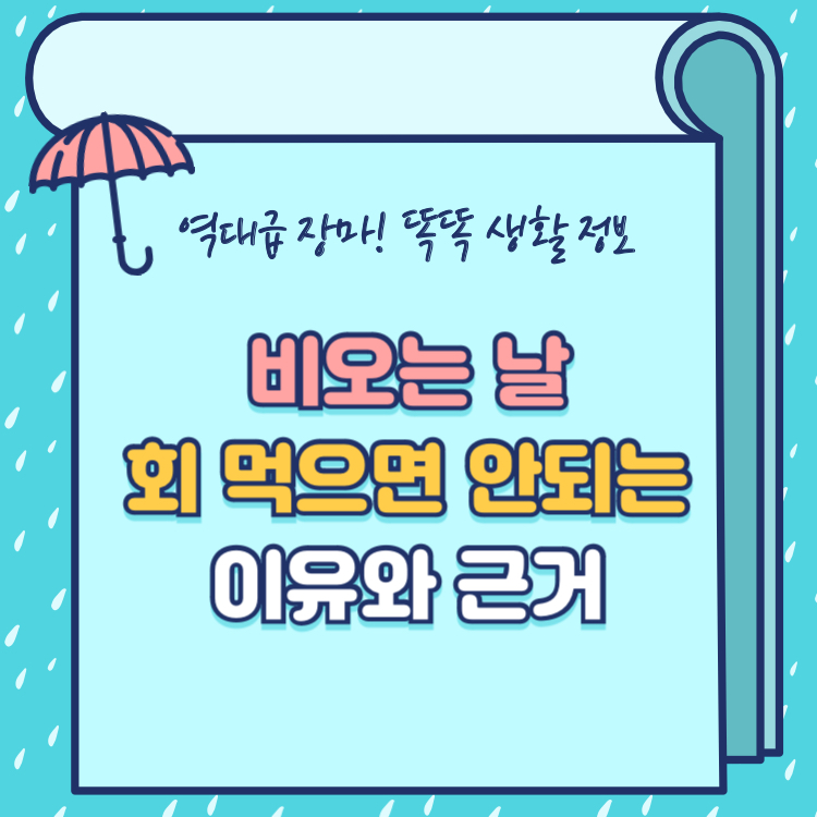 비 오는 날 회를 먹으면 안되는 이유 근거