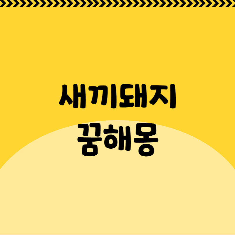 새끼돼지 꿈해몽