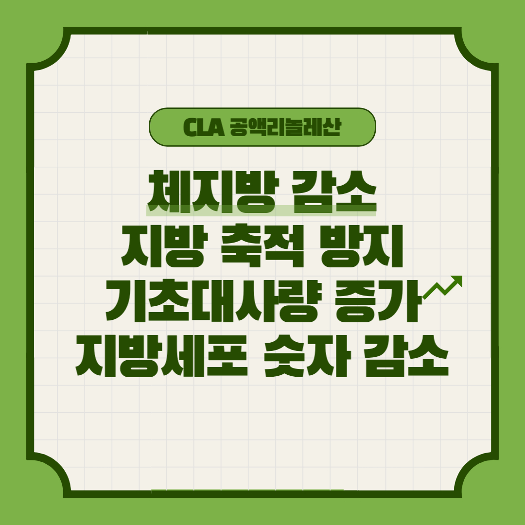 CLA 공액리놀레산 효능, 음식, 섭취방법, 부작용, 고르는 방법
