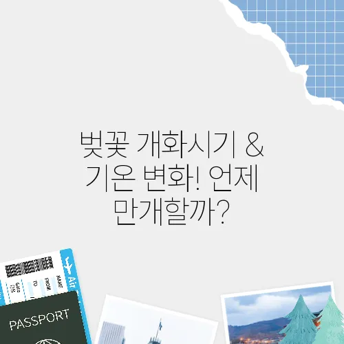 벚꽃 개화시기 & 기온 변화! 언제 만개할까?
