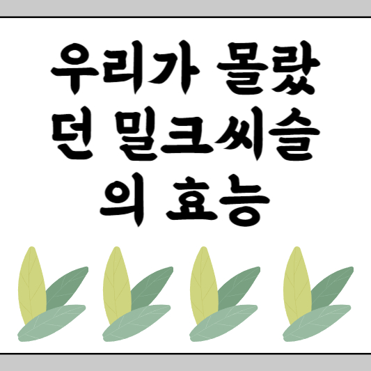 밀크씨슬