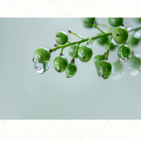 일교차 큰 환절기 날씨