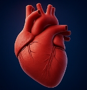 포스파티딜 세린 효능