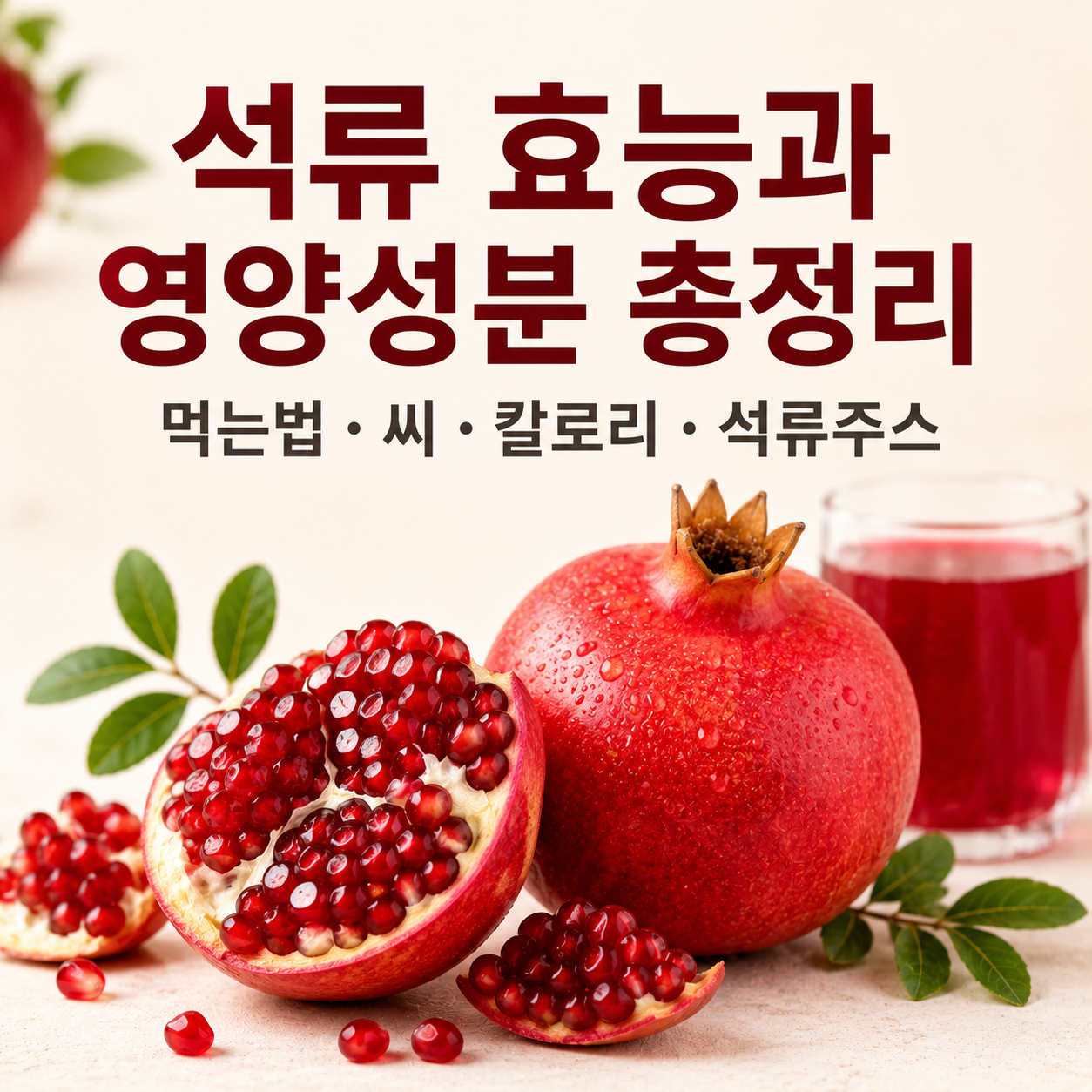 석류 효능