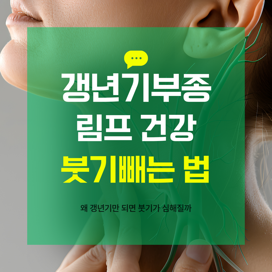 갱년기 부종 원인과 림프 건강 식단과 운동으로 붓기 빼는 법