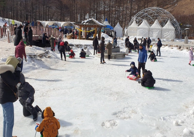 2024 태백산 눈꽃 축제 여행 프로그램 일정 및 교통안내