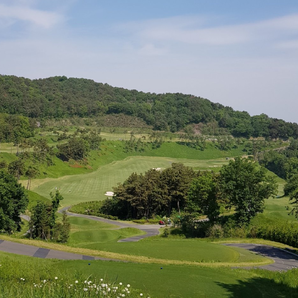 따뜻한 봄에 찍은 골프 필드 코스사진