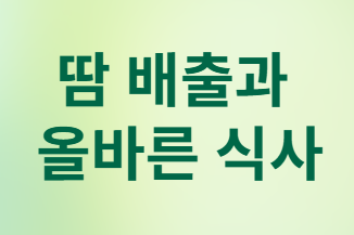 직장인을 위한 과학적 숙취 관리 완벽 가이드