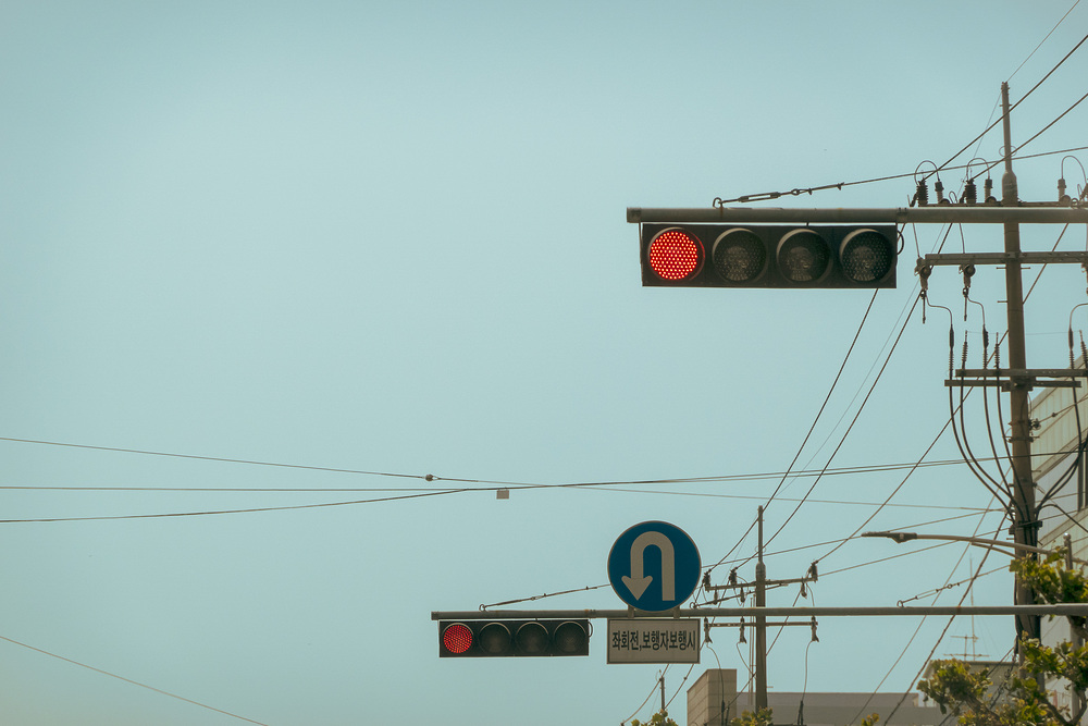 과태료-범칙금-차이