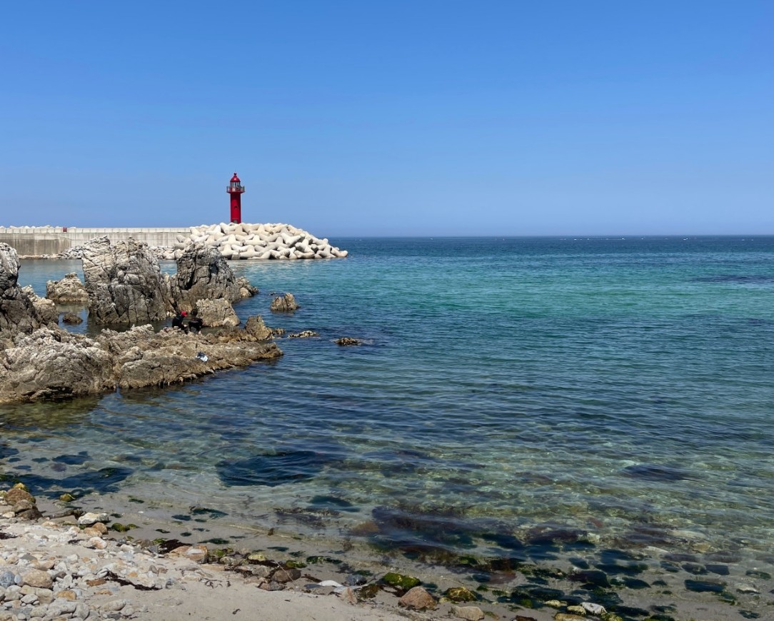 신남 해수욕장 해변사진