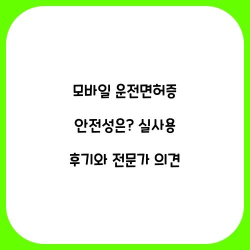 모바일 운전면허증 안전성은?