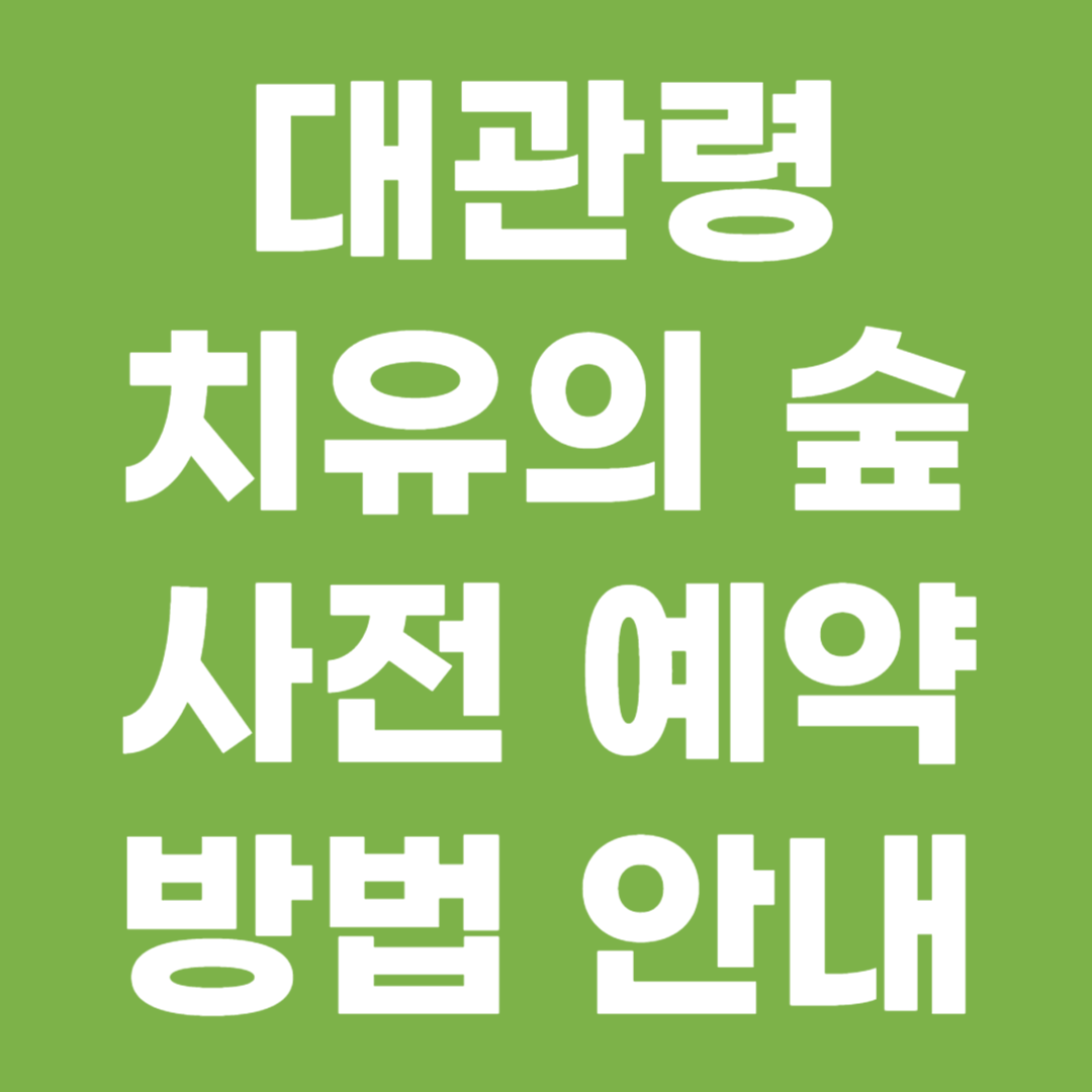 대관령 치유의 숲 사전 예약 방법