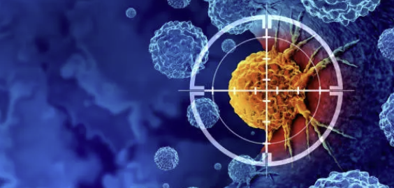 T cell Metabolism Profiling (Glycolysis vs OXPHOS) &ndash; ICI 반응성과 연계
