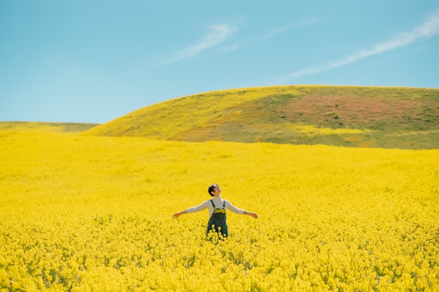 긍정심리학 플로우(몰입)